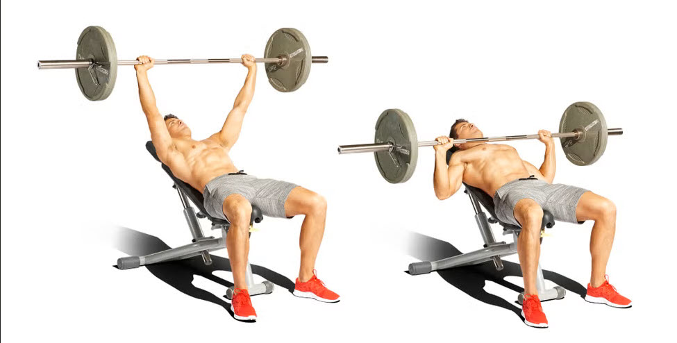 bench press