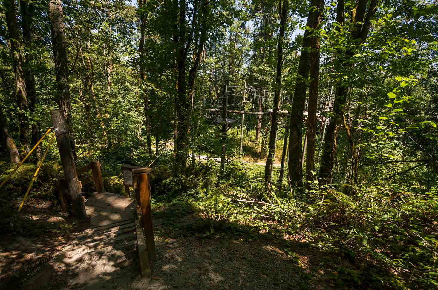 camp long trail camp long trail
