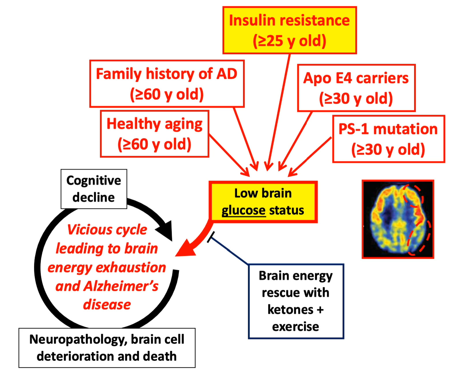 alzheimers causes diagram alzheimers causes diagram