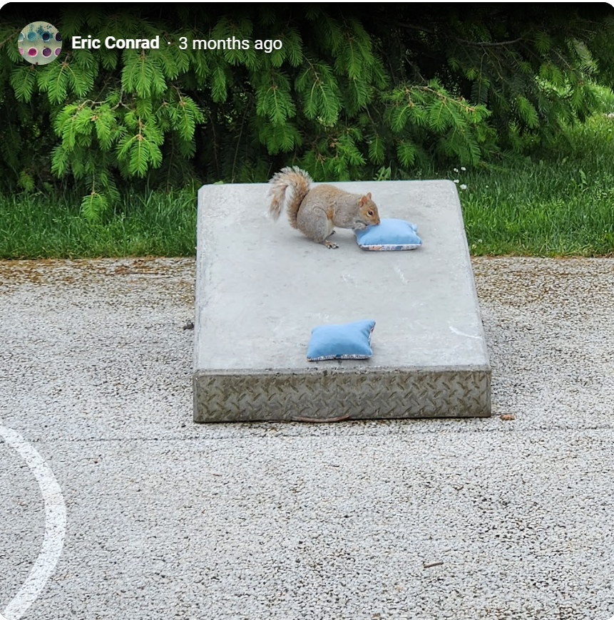 Squirrel on Cornhole
