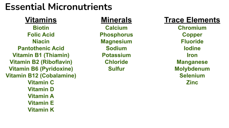 micronutrients