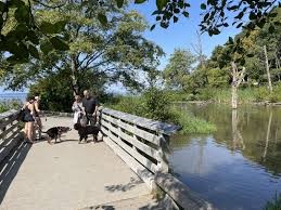 Golden gardens Golden gardens