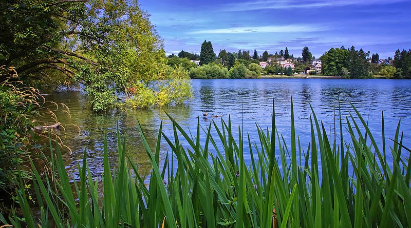 Green lake Green lake