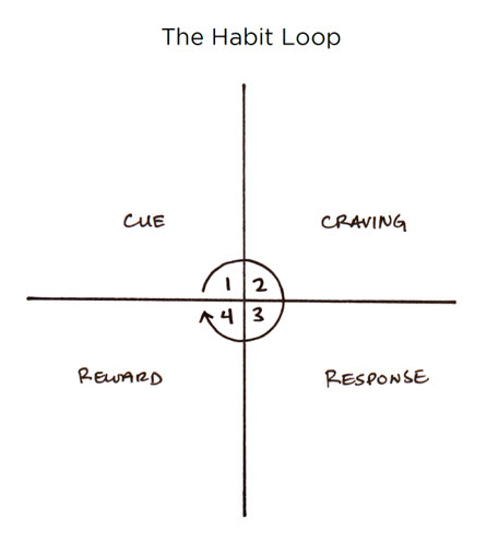 habit loop