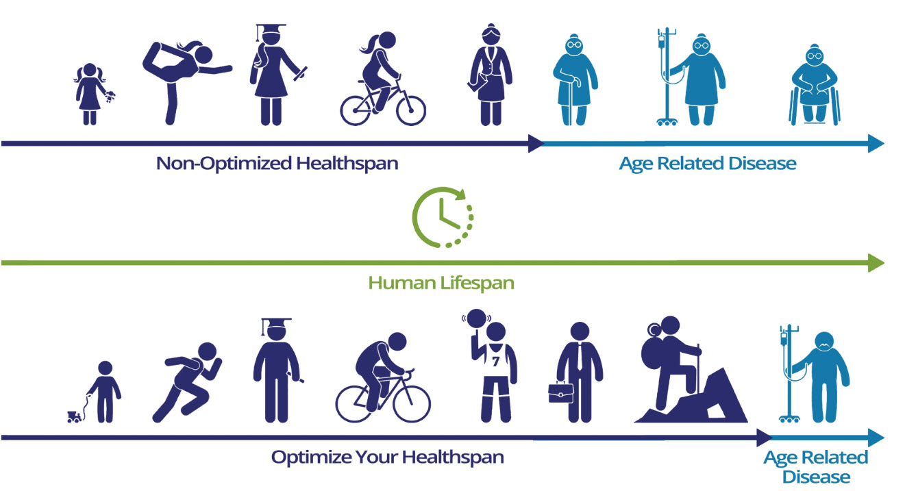 healthspan graphic healthspan graphic