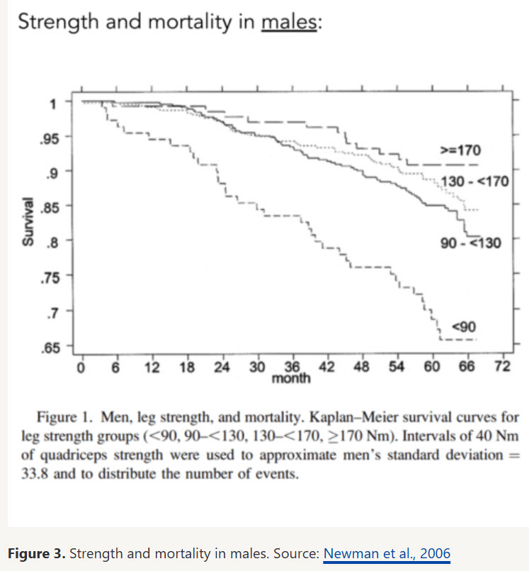 strength mortality strength mortality
