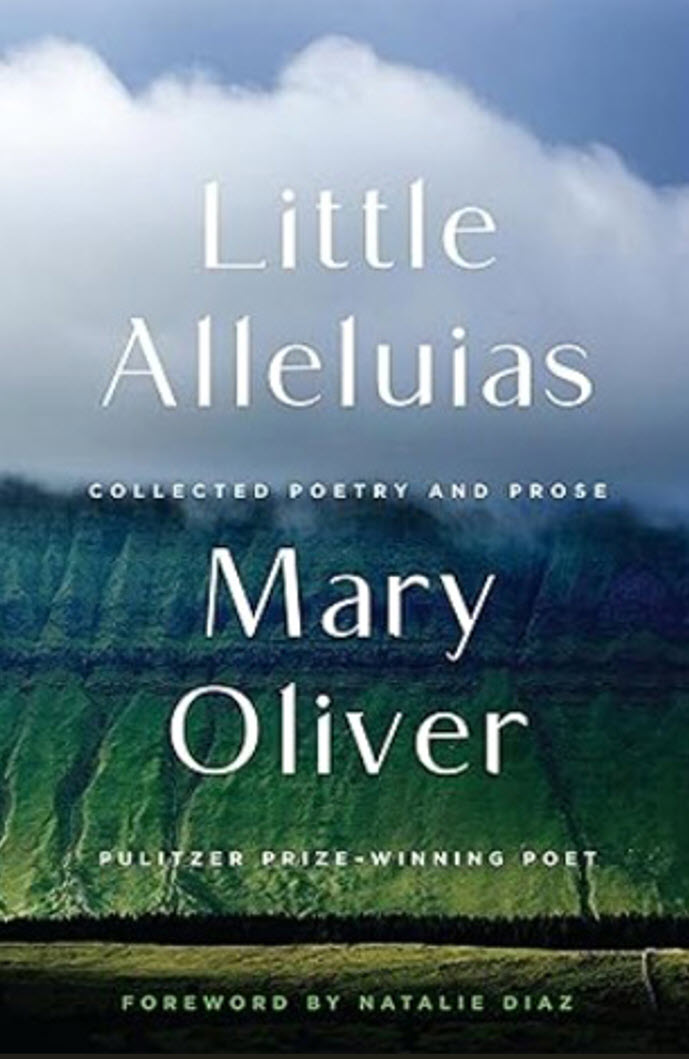 mary oliver book
