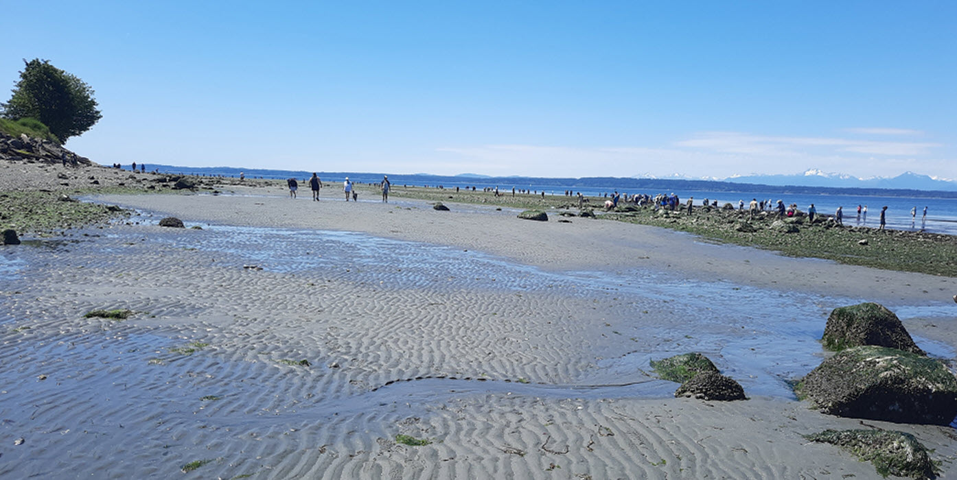 low tide walk