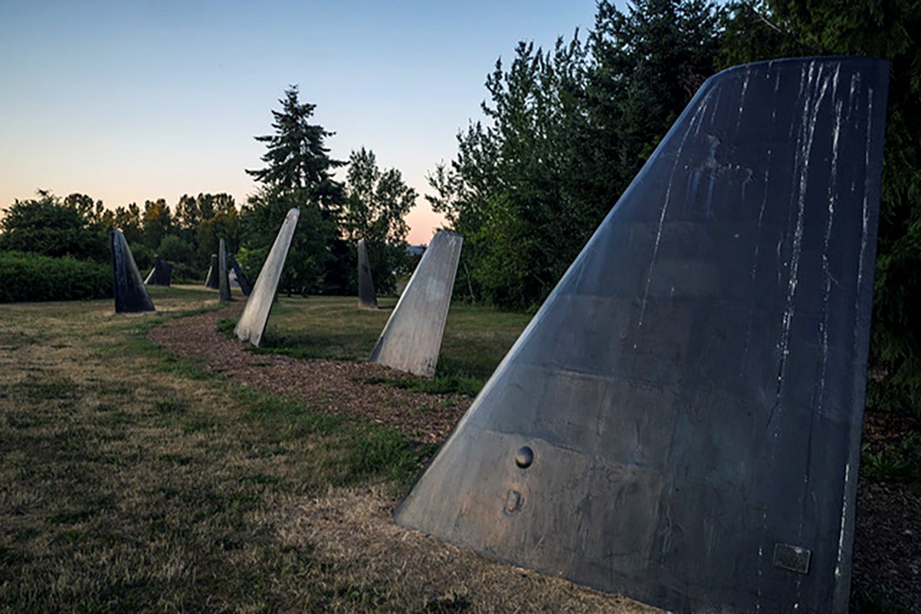 Magnuson fins Magnuson fins