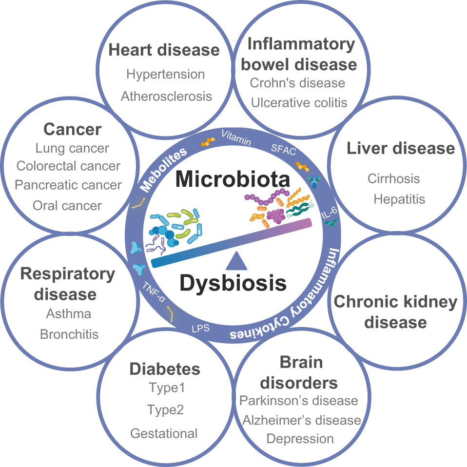 microbiota