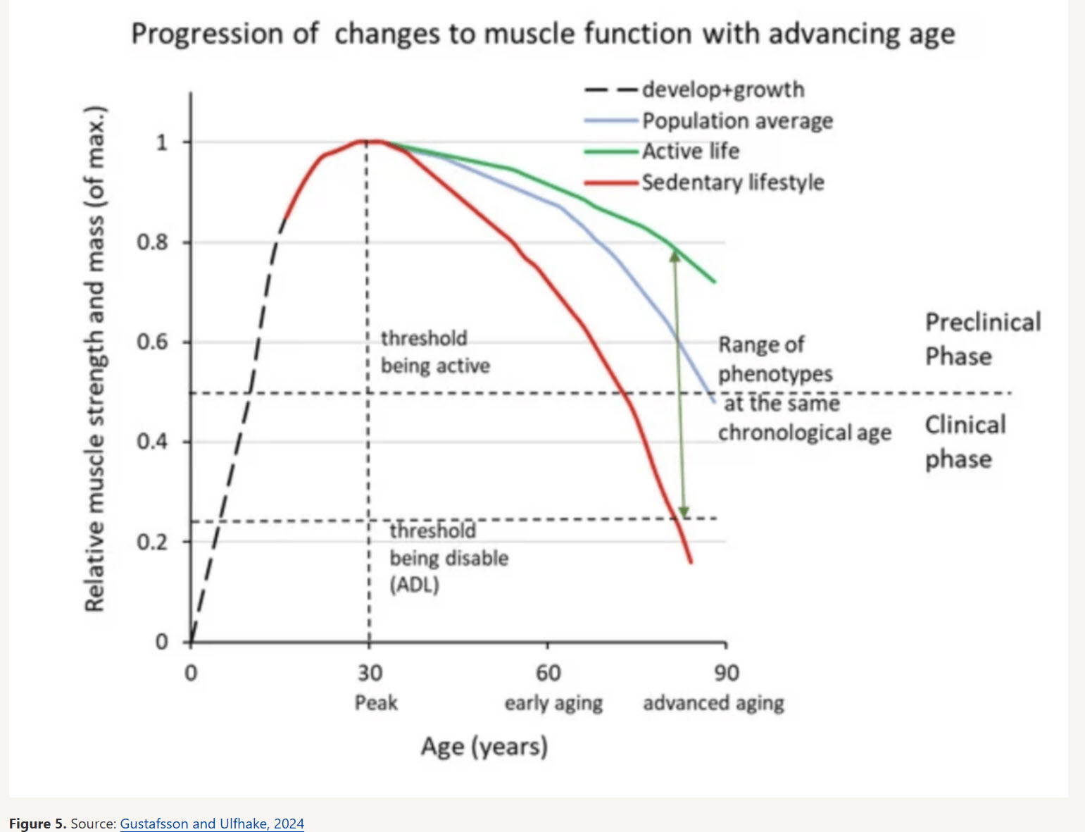 muscle loss and age muscle loss and age