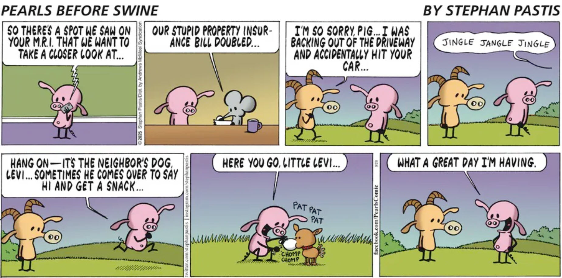 Pearls before swine happy pig Pearls before swine happy pig