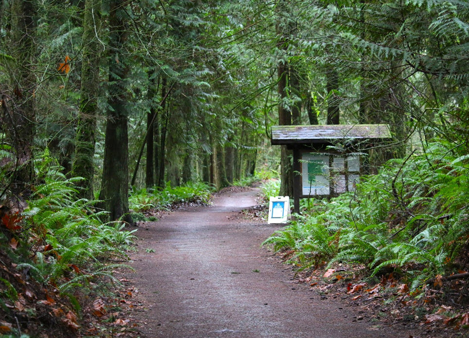 group walk in Redmoind