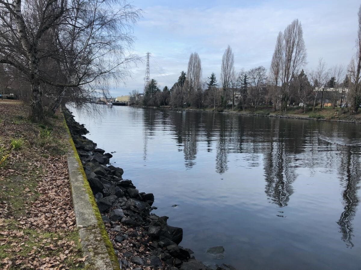 south ship canal south ship canal