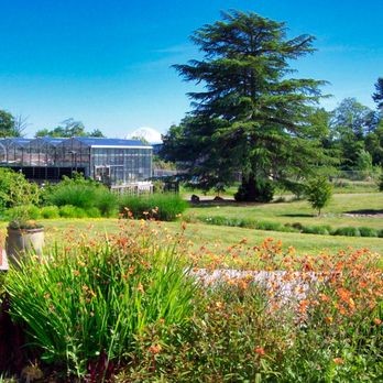 Urban horticulture  Urban horticulture