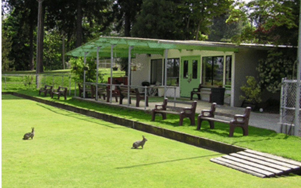 WPLBC lawn bowling WPLBC lawn bowling