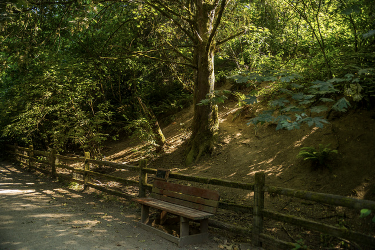 walk in Westcrest P:ark