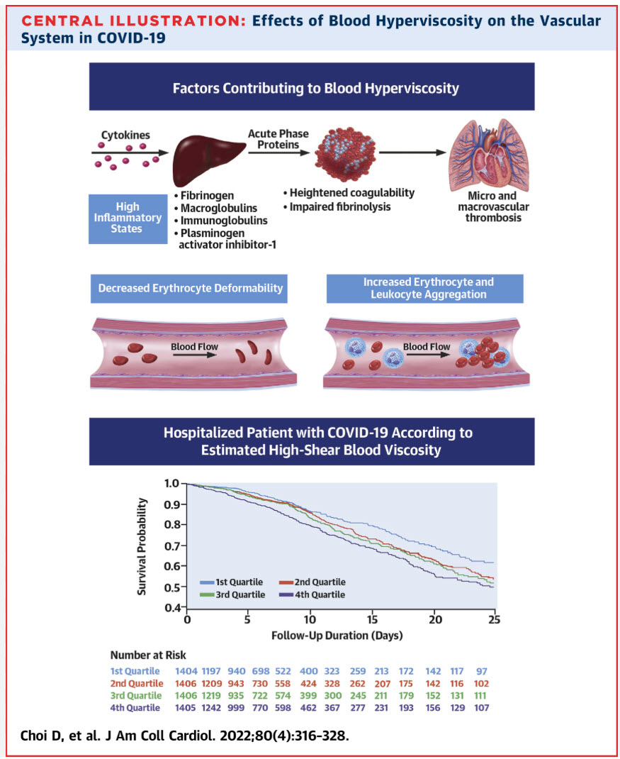 blood viscosity
